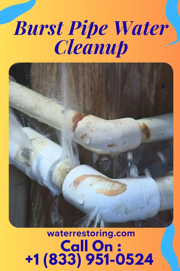 Burst Pipe Water Cleanup in Mecosta, MI