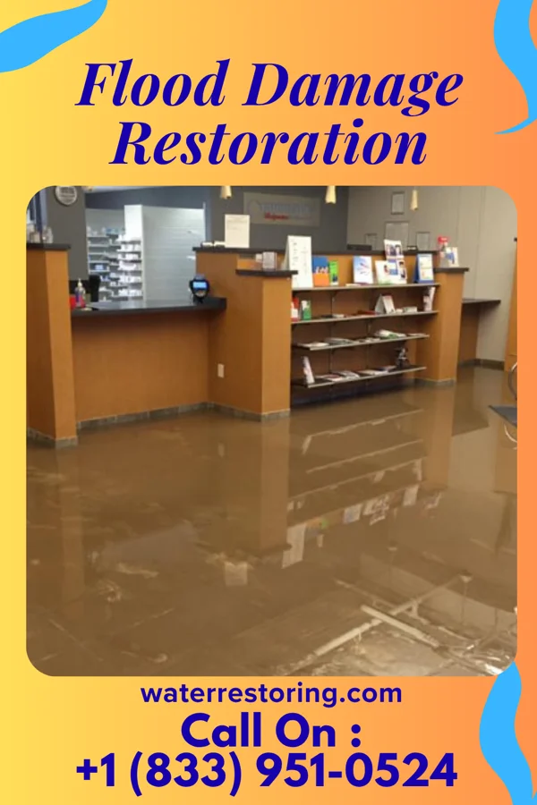 Flood Damage Restoration in Mecosta, MI