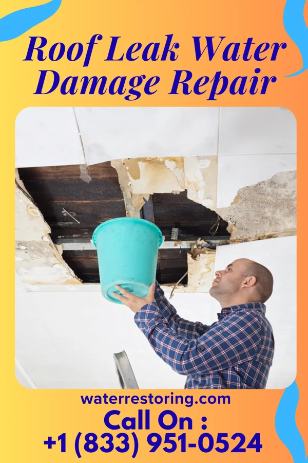Roof Leak Water Damage Repair in Mecosta, MI