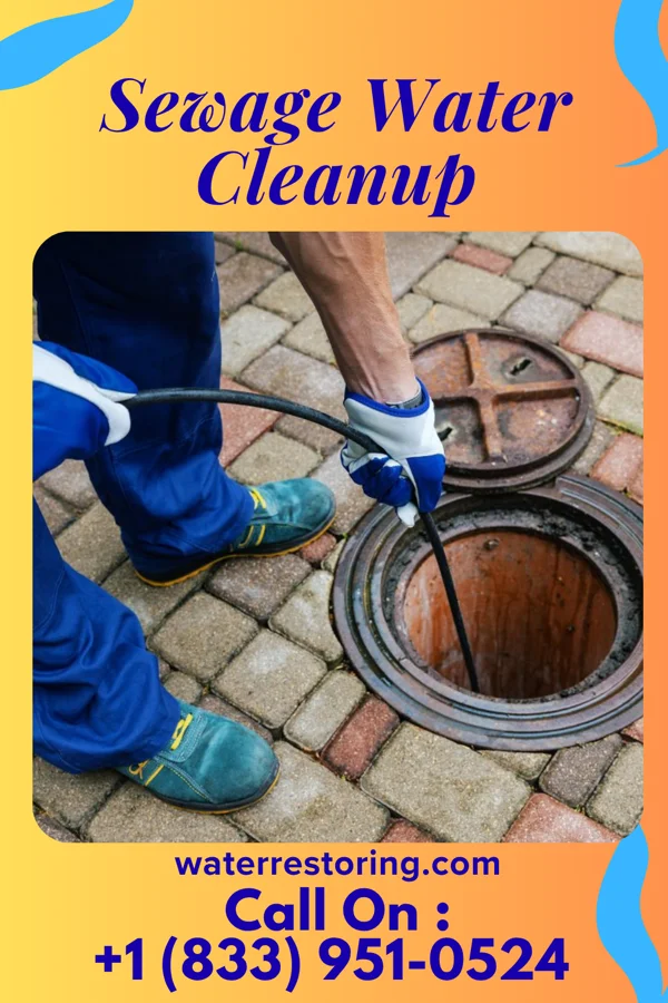 Sewage Water Cleanup in Mecosta, MI
